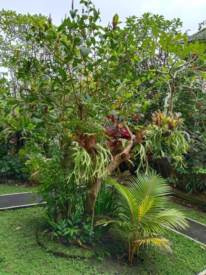 Bismajaya Bungalow Убуд Екстериор снимка