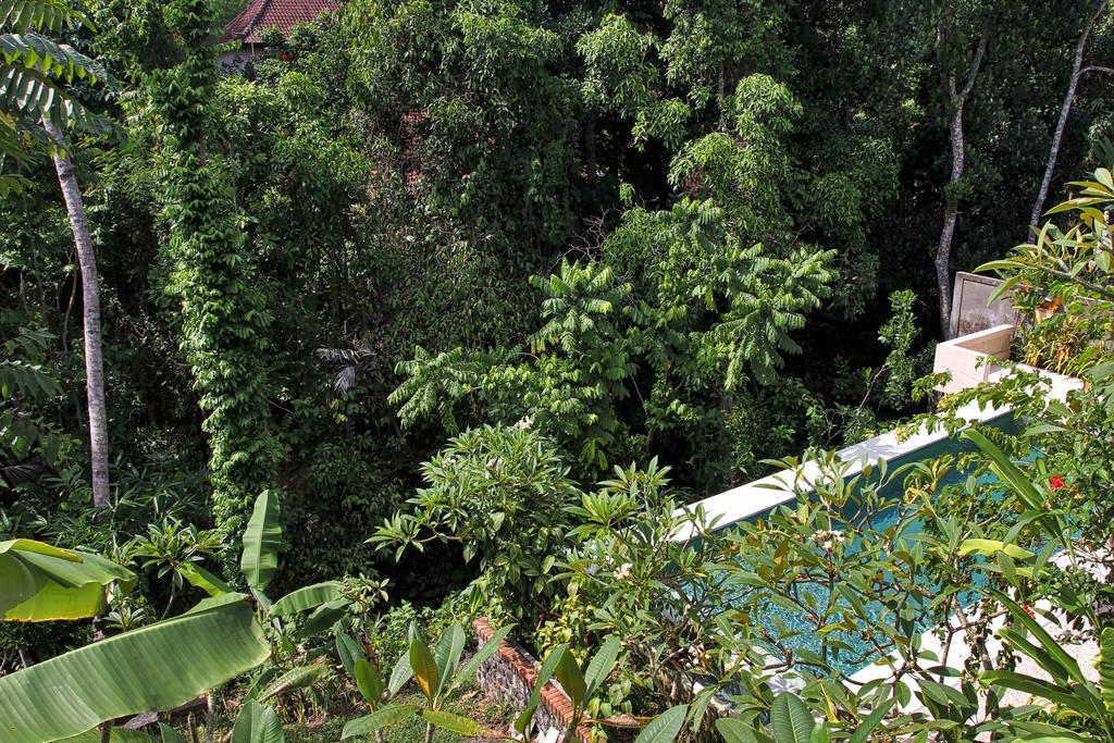 Bismajaya Bungalow Убуд Екстериор снимка